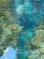 Wacissa Reflection