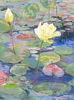 Lily 2