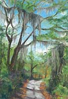 Mossy Trail