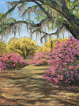 Southern Spring