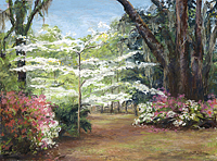 Dogwood